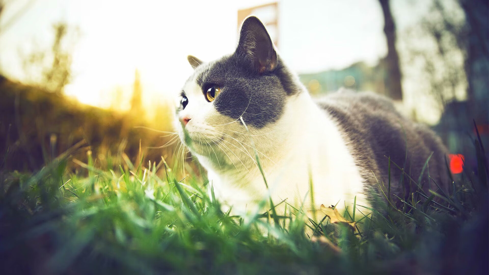 关键封盖：李磊最后封堵对手的必杀球！