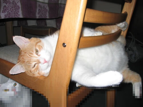 爱游戏app下载-_夜光灯光冲刺赛：灯火下的速度较量_，灯光show