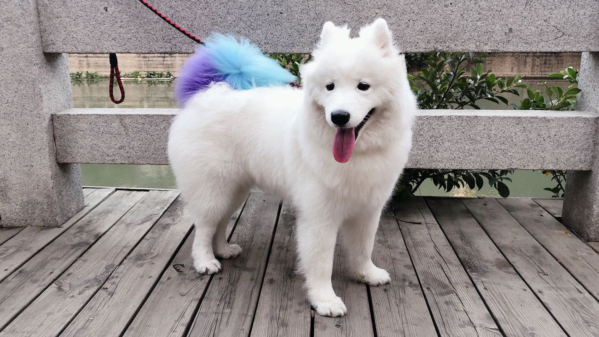 爱游戏娱乐网址-“战术创新：联盟最新的花式打法揭秘”，英雄联盟战术术语