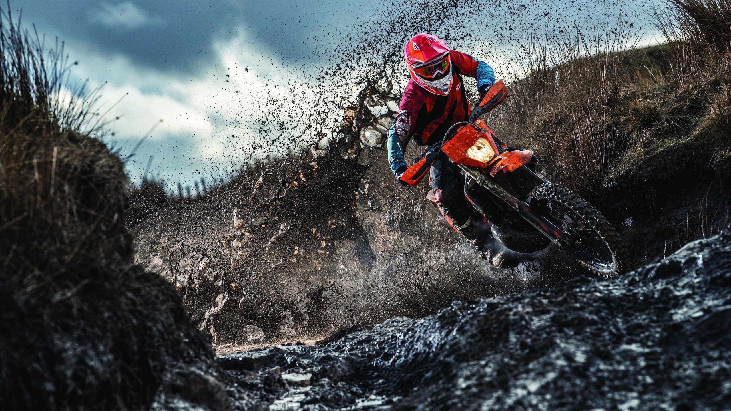 爱游戏 电竞-麦金托什女子800米自由泳表现惊艳，麦金托什是谁